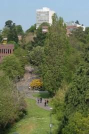 University of Exeter